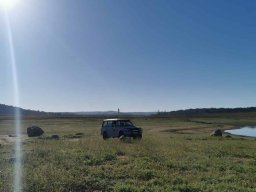 2023-09-29 SALAMANDRA II